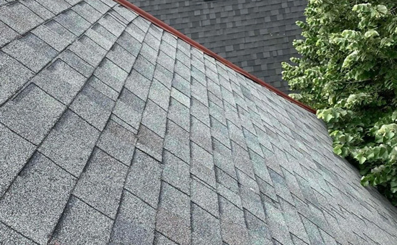 Getting Multiple Roofing Quotes? Watch Out for These Red Flags